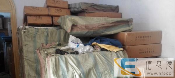 大石桥恩典宠物用品