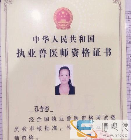 大石桥唯爱宠物医院