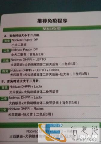 宠物疫苗指定注射点 宠爱宠物店报价以及活动