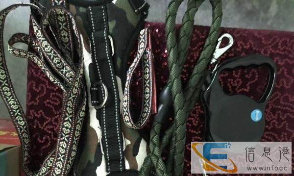 狗粮和狗狗用品，看上什么和我说