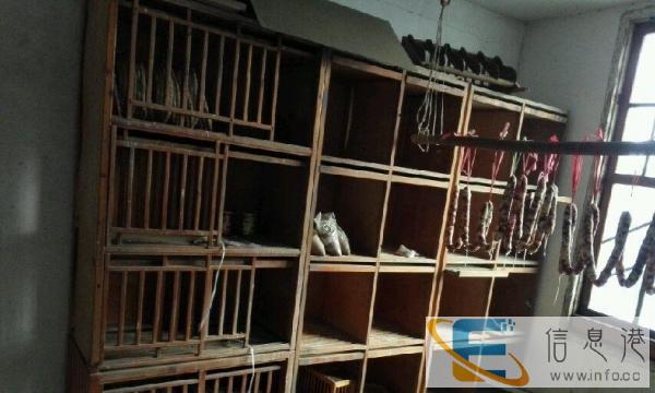 鸽子笼宠物笼急售