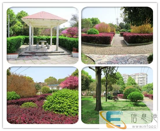 岳塘区正规家政公司 岳塘区老人陪护电话