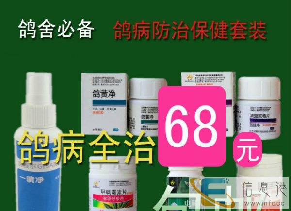 鸽药套装信鸽鸽药养信鸽必备用药
