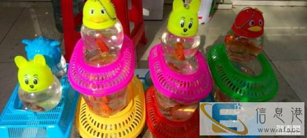 批发塑料金鱼盒和QQ鱼瓶