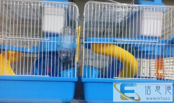 宠物饲料，包装散装批发