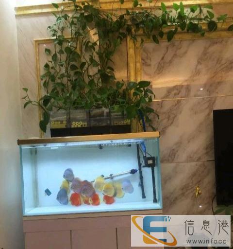 尺寸超白鱼缸玻璃12mm半价出售