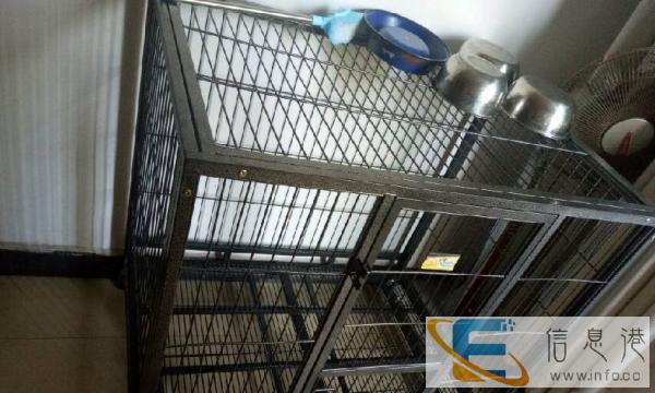 大号宠物笼子，可关成年阿拉斯加