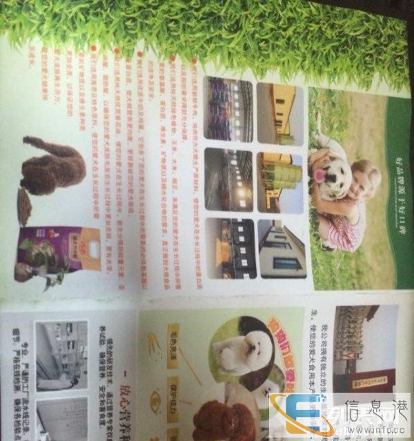 犬粮厂家，欢迎咨询