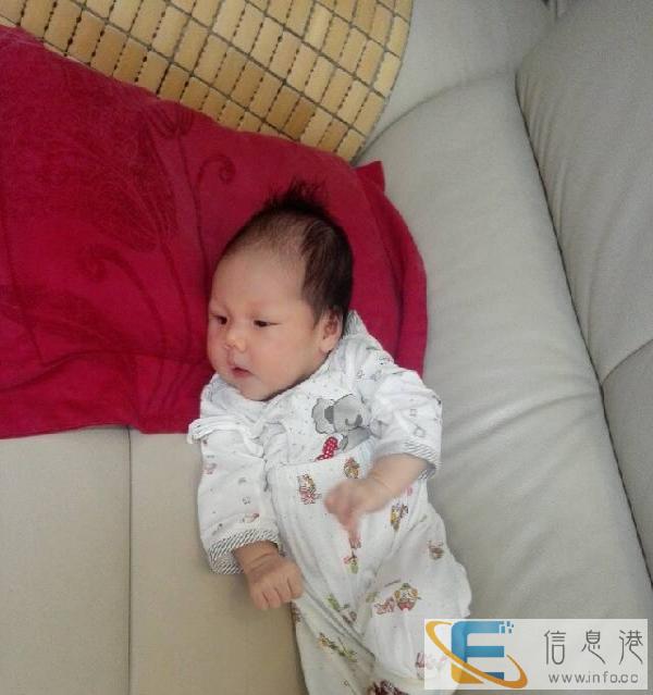 三口之家需要保姆