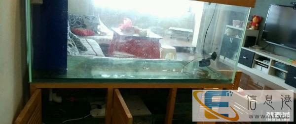 全实木专业大型龙鱼虹鱼锦鲤缸