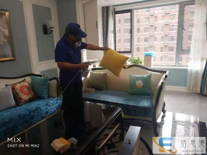 乌海消除甲醛的较好植物 欧盟标准甲醛检测治理 CMA检测