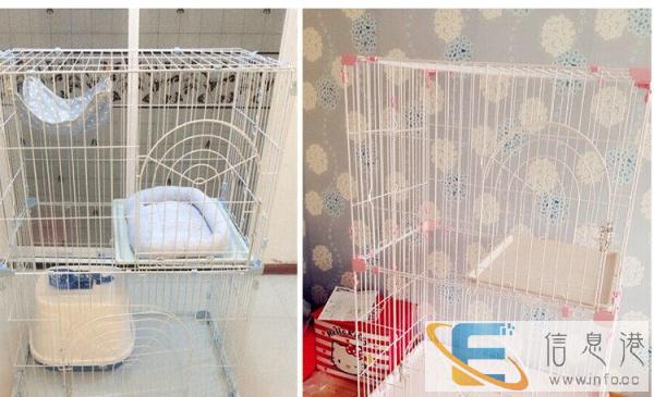 99成新猫用品价格500