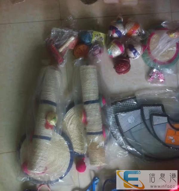 99成新狗用品价格200