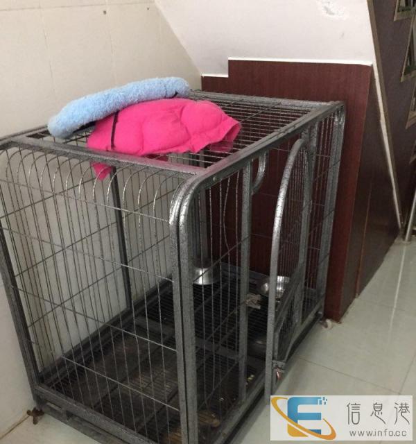 宠物用品转卖，价格超优惠