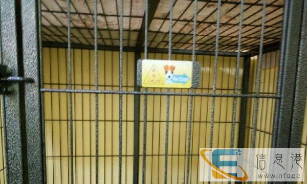 乐佳方管狗笼转让