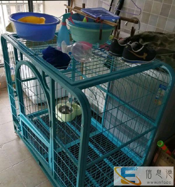 转让一个超大狗笼