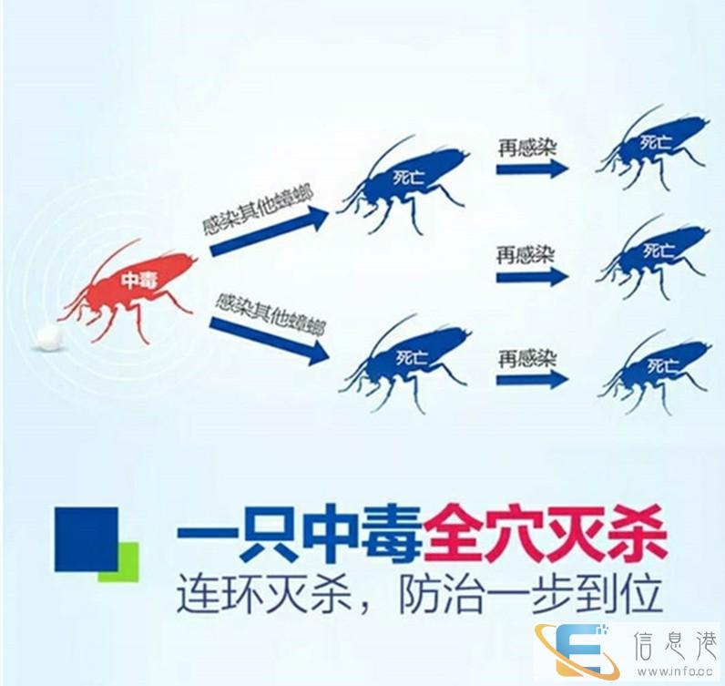 西安家庭灭除蟑螂,食堂饭店灭蟑螂公司