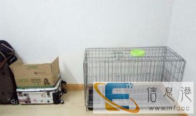 全新狗用品价格90