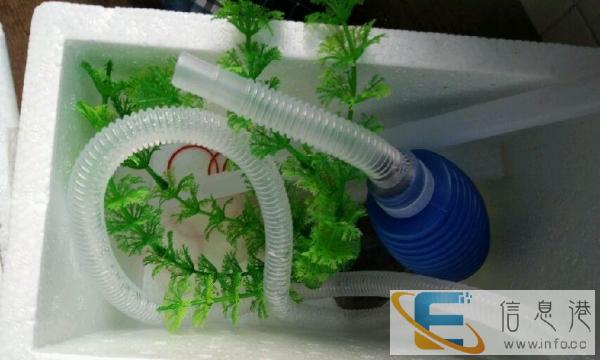 转让全新小型鱼缸