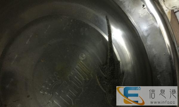 优质鱼缸沉木转手一个