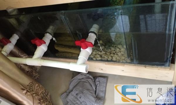 转一个diy底滤鱼缸