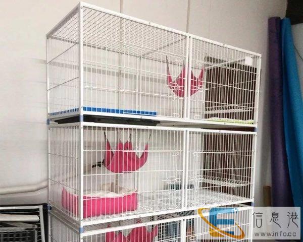 3层超大猫笼转让