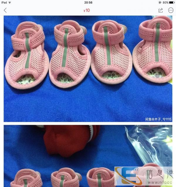 警犬专用皮肤病喷剂，卫仕营养膏 大型犬超好质量飞盘