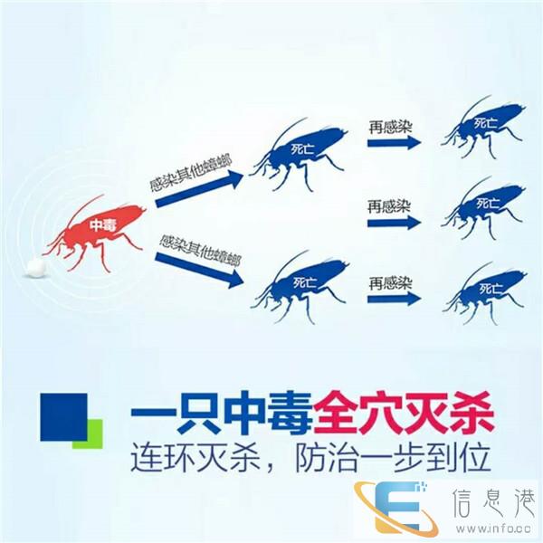 西安灭蟑螂公司电话