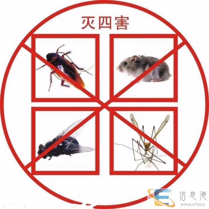 西安灭老鼠 除老鼠,专项服务