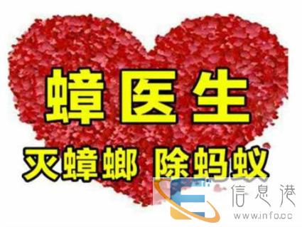 西安专业除蟑螂公司,家庭-单位-酒店-餐厅-食堂-均可上门