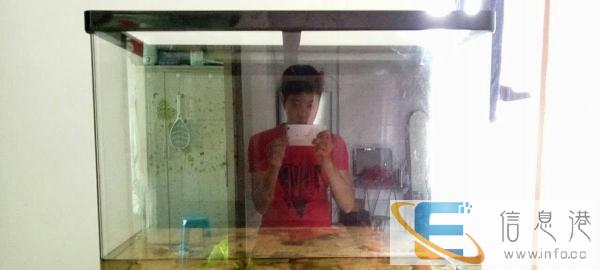 低价出售自用80鱼缸