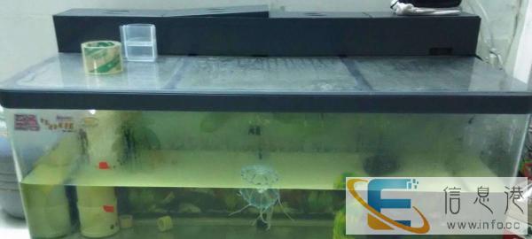 9成新120x50cm至尊牌弧形鱼缸