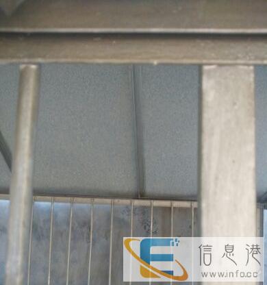 大型狗笼转让