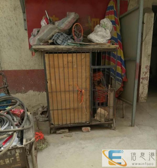 狗笼子换狗娃子