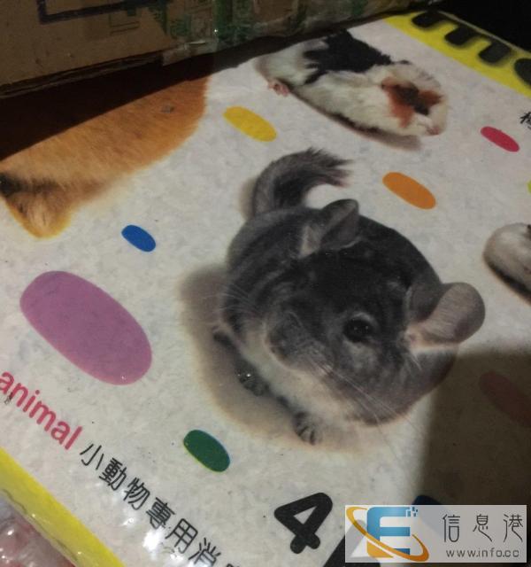 仓鼠兔子宠物垫料除臭天然原木木屑桦木碎