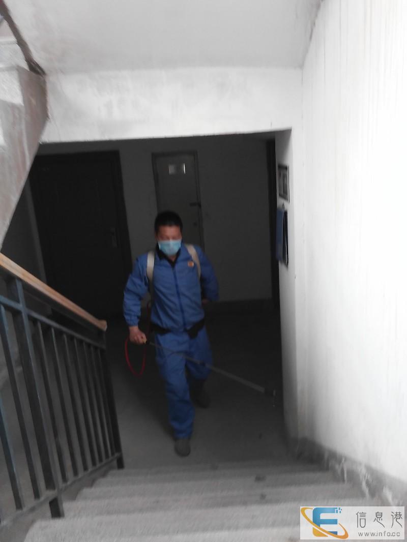 新乡酒店饭店灭鼠岚信公司