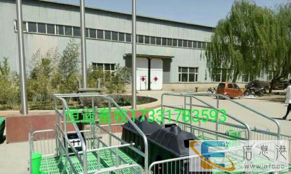 专业焊接批发零售母猪产床,定位栏,小猪保育床等养猪设备