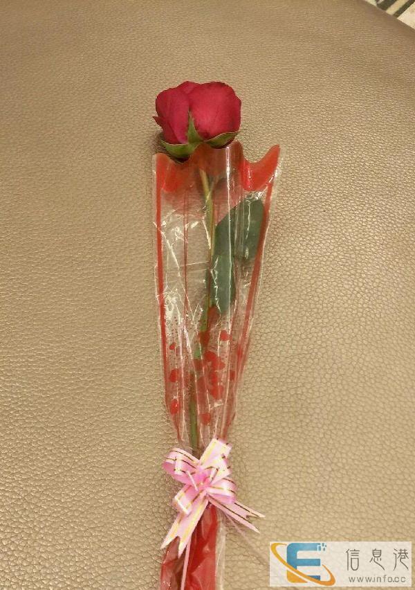 国电满庭春做饭洗衣收拾家