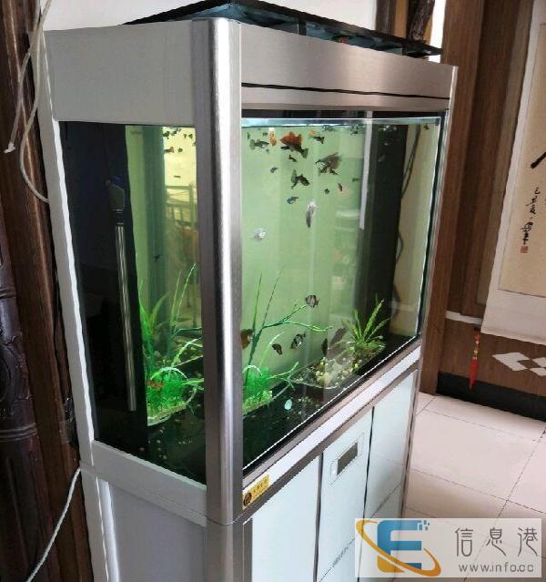 出售1米底滤超白鱼缸