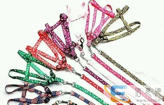 各种狗绳，针梳 价格优惠