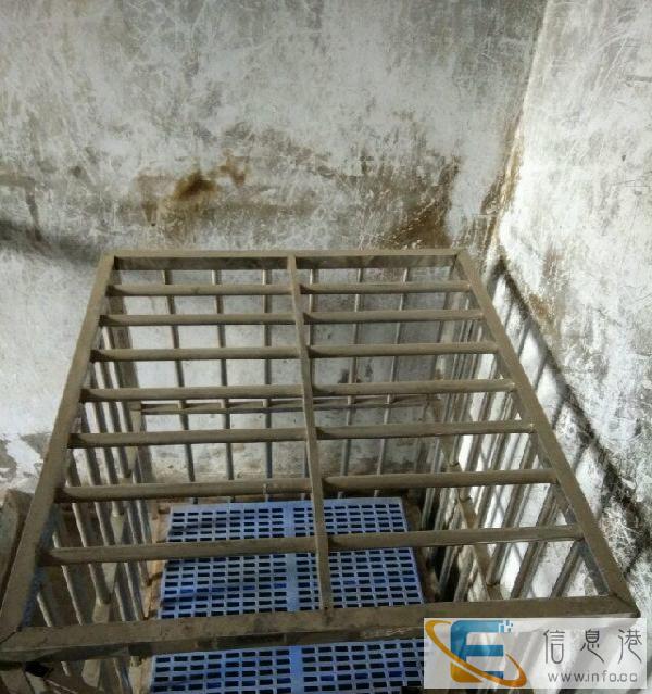 转让闲置大型不锈钢狗笼