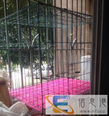 大狗笼便宜处理了