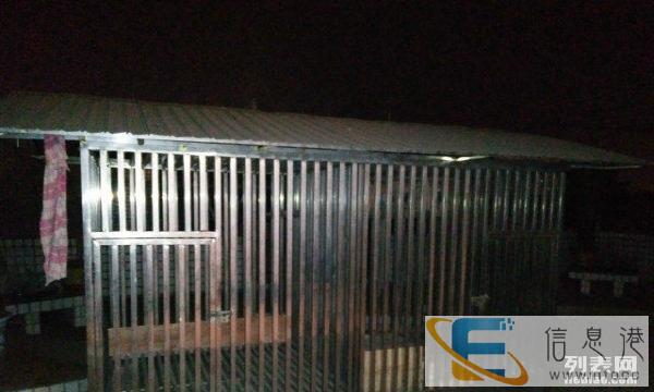 大型犬狗笼出售