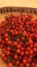 招聘一个住家保姆