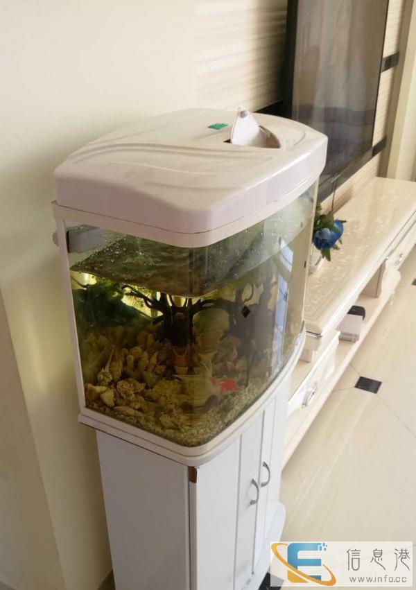 95成新鱼缸价格260