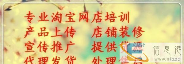 网店装修 推广 信誉提升 货源供应