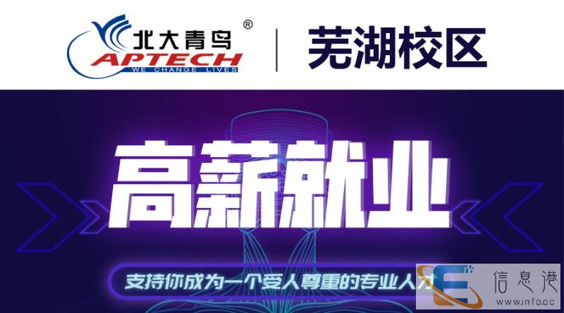 芜湖IT行业招聘需求