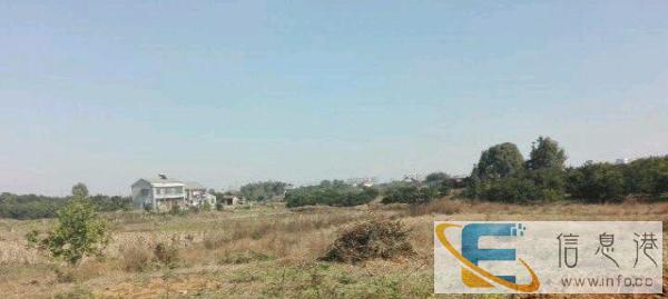 哪家需要保姆照顾老人