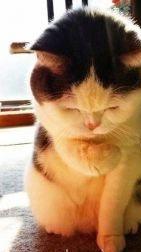 想找个看孩子的保姆