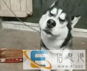 包吃，包住，水电全免，年薪5000到6000